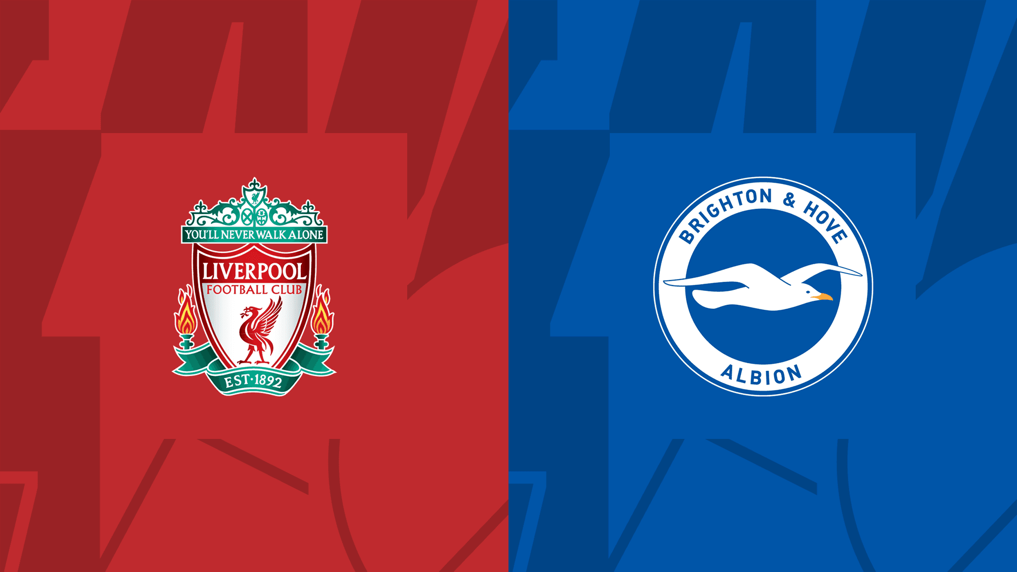  مشاهدة مباراة ليفربول و برايتون بث مباشر 01/10/2022 Liverpool vs Brighton