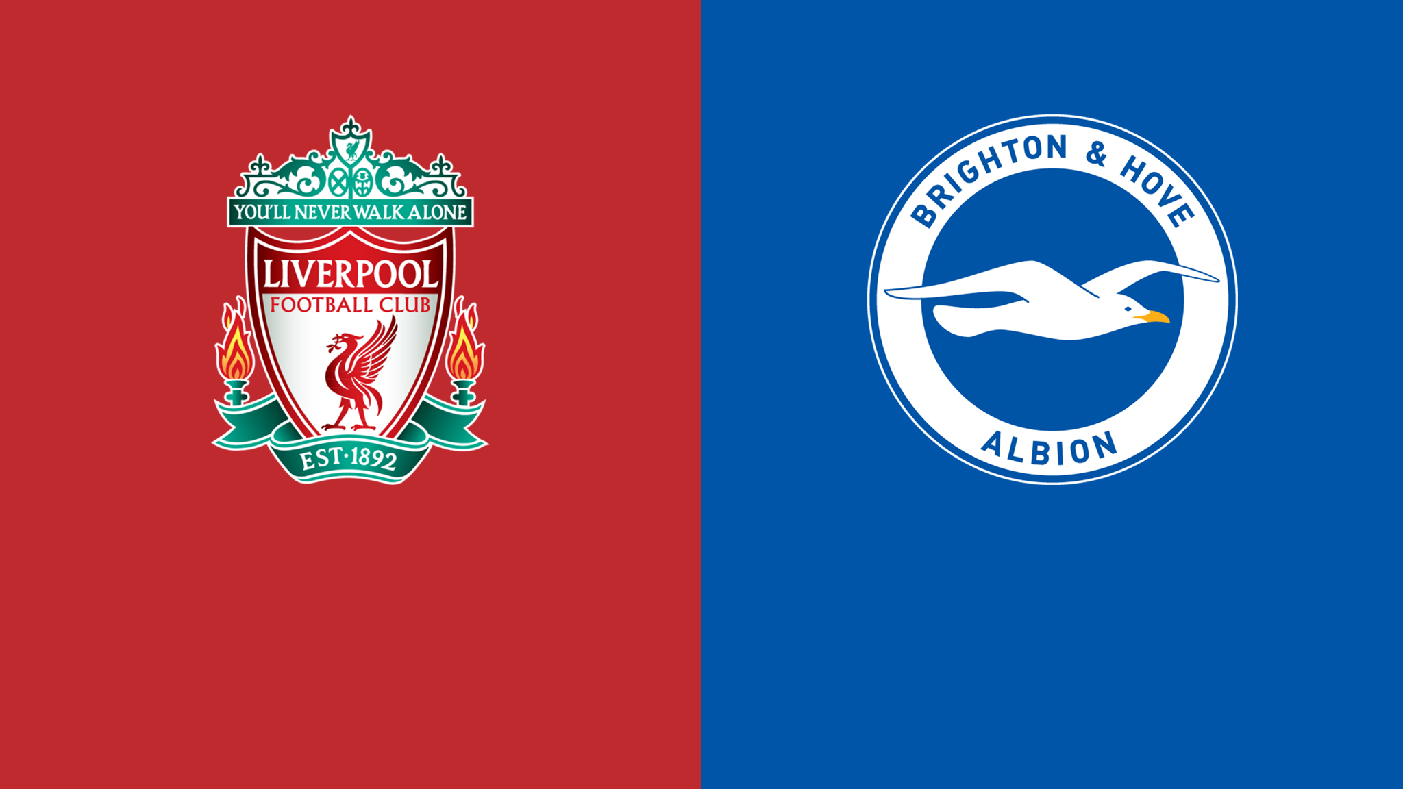 مشاهدة مباراة ليفربول و برايتون بث مباشر 14/01/2023 Brighton vs Liverpool